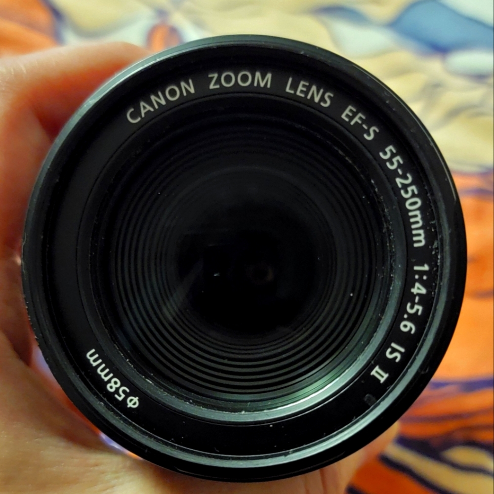Canon EF-S 55-250mm f/4-5.6 IS II